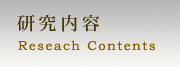 研究内容